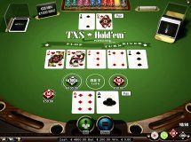 Texas Holdem Pro